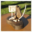 Carving View 4