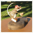 Carving View 4