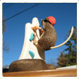 Carving View 2