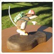 Carving View 2