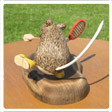 Carving View 2